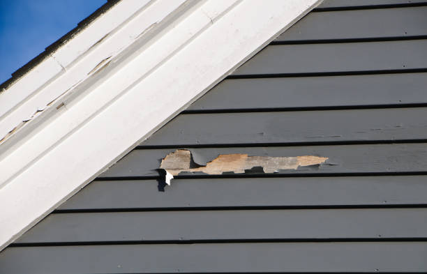 Best Insulated Siding Installation  in Blackhawk, CA